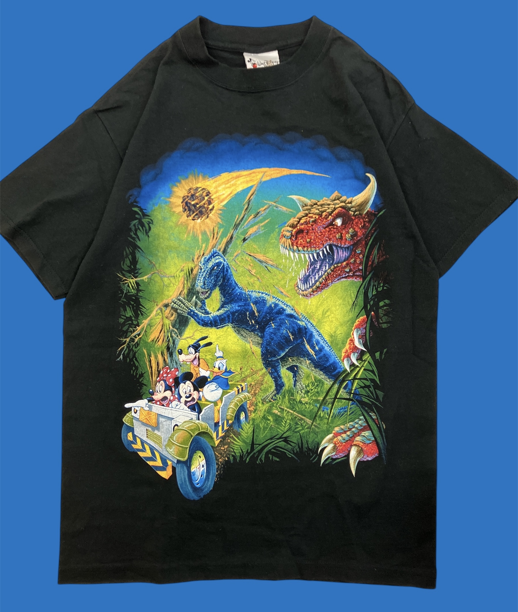 【激レア‼️】90s 00s Disney アニマル　tシャツ USA製 90s〜00s DISNEY 